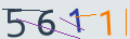 verifycode